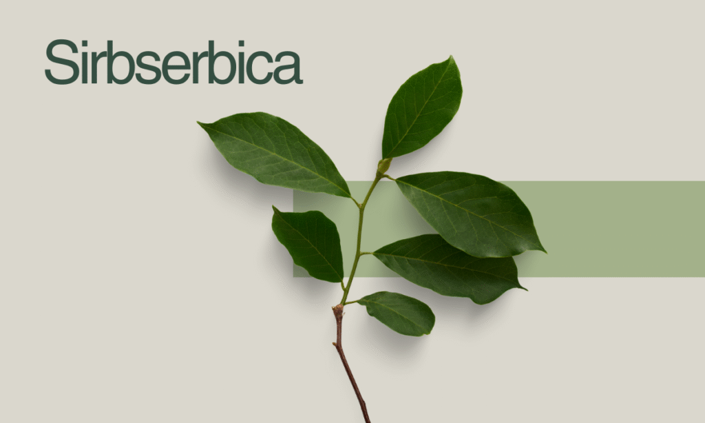 Sirbserbica